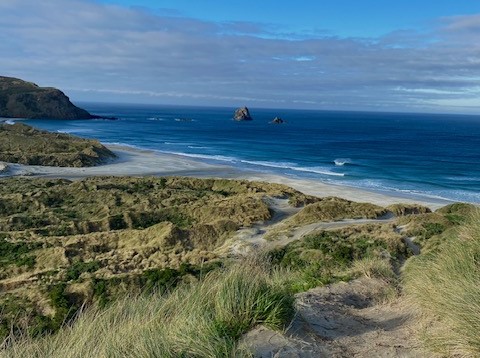 Neuseeland - Otago Polytechnic