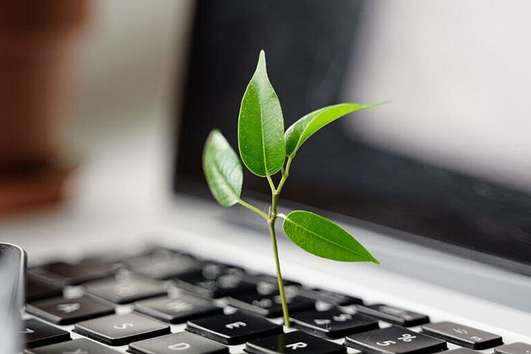 Designelement: Nahaufnahme einer LapTop-Tastatur, aus der ein grüner Sproß wächst