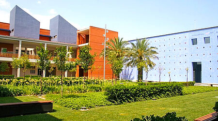 Grünanlage mit Palmen und blauen Gebäuden im Hintergrunde auf dem Campus Gandia der Universitat Politècnica de València