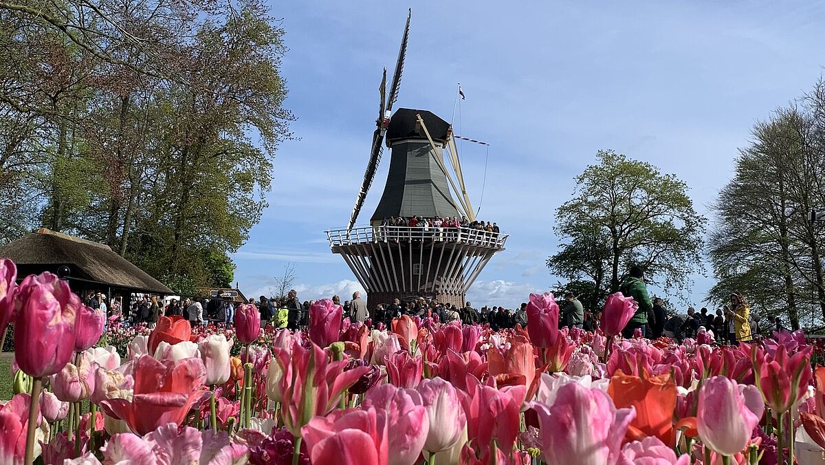 Niederlande - Deutsche Zentrale für Tourismus