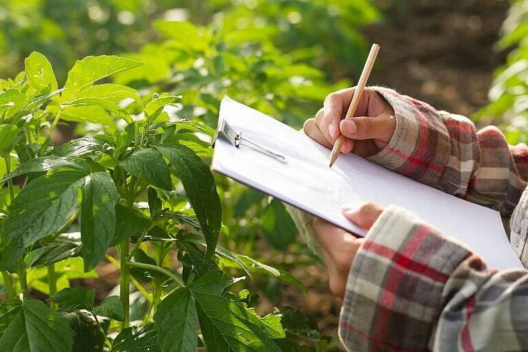 eine Frauenhand mit einem Bleistift über einem Klemmbrett, im Hintergrund Pflanzen auf dem Feld