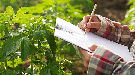 eine Frauenhand mit einem Bleistift über einem Klemmbrett, im Hintergrund Pflanzen auf dem Feld